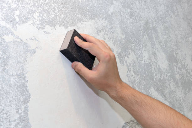 Best Mold Documentation for Insurance Claims  in Sunland Park, NM