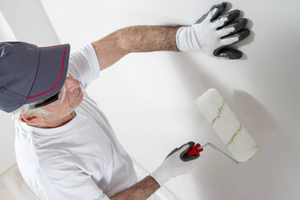 Best Residential Mold Inspection & Testing  in Sunland Park, NM