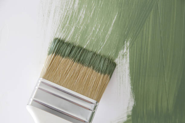Sunland Park, NM Mold Removal Company