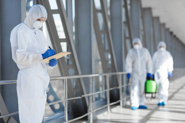 Mold Removal for HVAC Installations in Sunland Park, NM