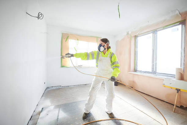Best Mold Remediation for Healthcare Facilities  in Sunland Park, NM