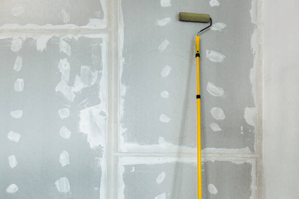 Best Mold Removal for HVAC Installations  in Sunland Park, NM