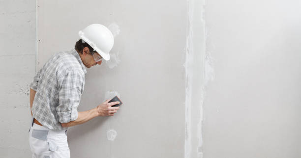Best Attic Mold Removal  in Sunland Park, NM