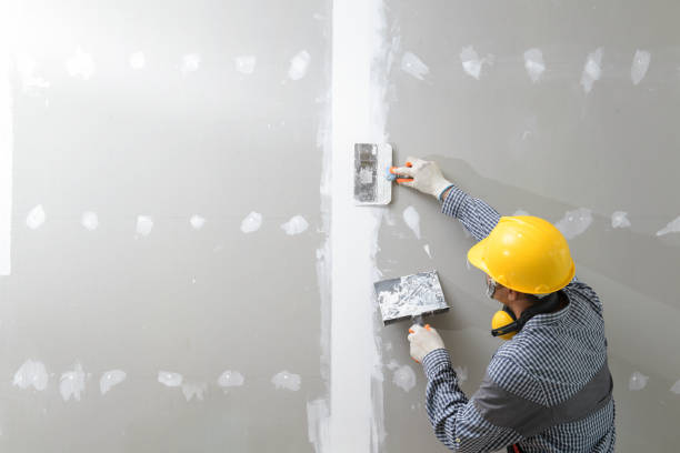 Best Mold-Related Health Consultation  in Sunland Park, NM