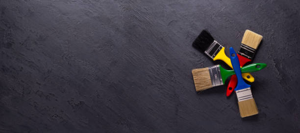 Best Black Mold Removal  in Sunland Park, NM