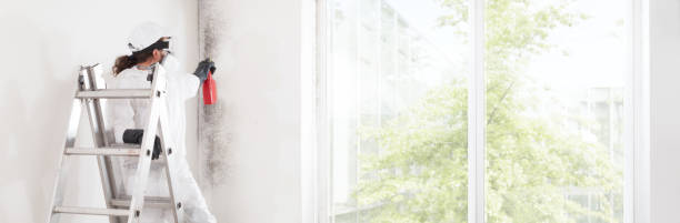 Best Commercial Mold Inspection  in Sunland Park, NM