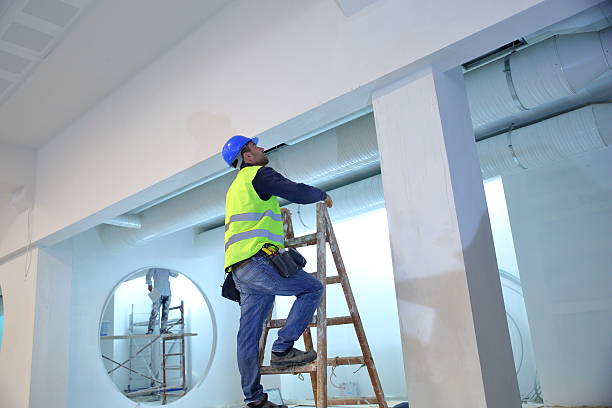 Best Basement Mold Removal  in Sunland Park, NM