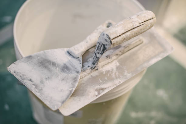Best Mold Damage Restoration  in Sunland Park, NM